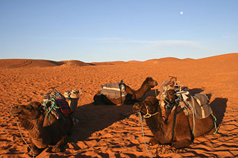 Marocco