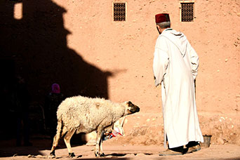 Marocco