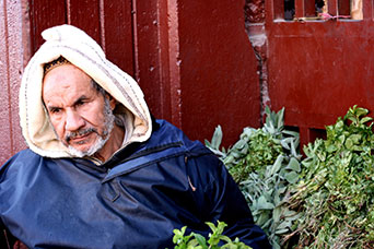 Marocco