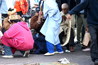 Marocco