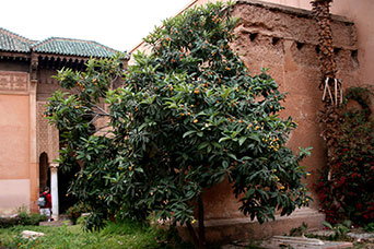 Marrakech