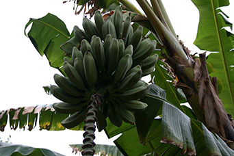 Marrakech