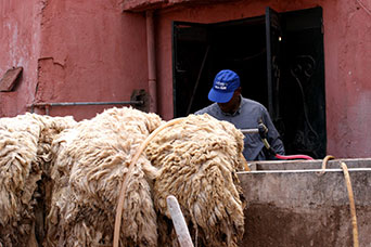 Marrakech