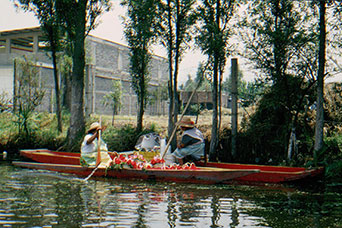 Messico