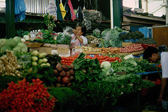 Messico
