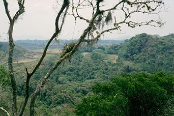 Messico