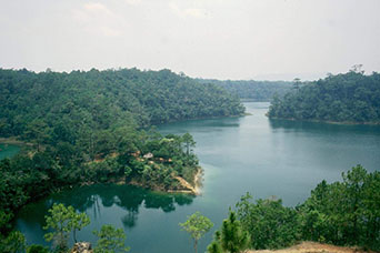 Messico