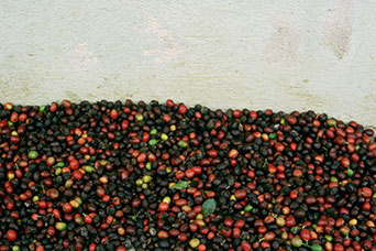 Guatemala
