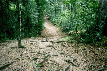 Guatemala