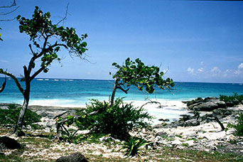 Messico