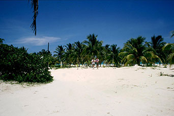 Messico