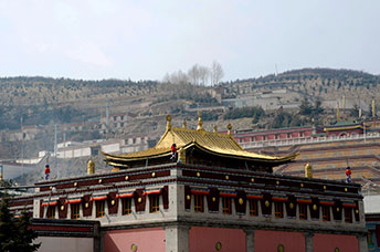 Cina (Monlam)