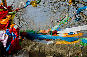 Cina (Monlam)