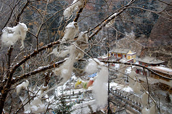 Cina (Monlam)