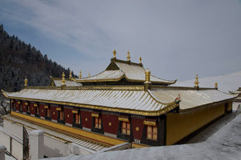 Cina (Monlam)