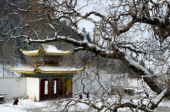 Cina (Monlam)