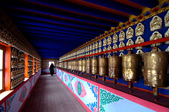 Cina (Monlam)