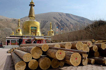 Cina (Monlam)