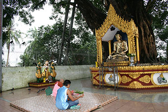 Myanmar (ex Birmania)