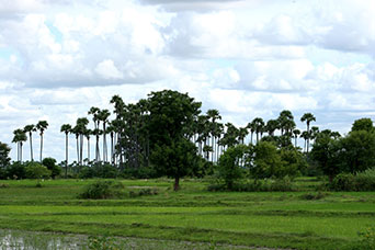 Myanmar (ex Birmania)