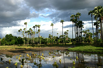 Myanmar (ex Birmania)