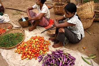 Myanmar (ex Birmania)