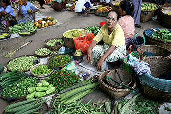 Myanmar (ex Birmania)