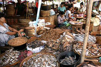 Myanmar (ex Birmania)