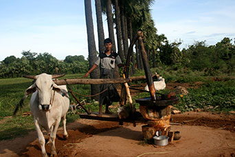 Myanmar (ex Birmania)