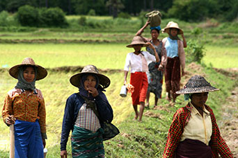 Myanmar (ex Birmania)