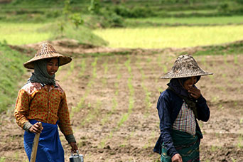 Myanmar (ex Birmania)
