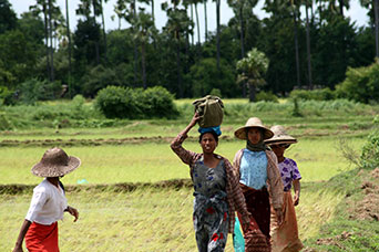 Myanmar (ex Birmania)