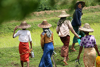 Myanmar (ex Birmania)
