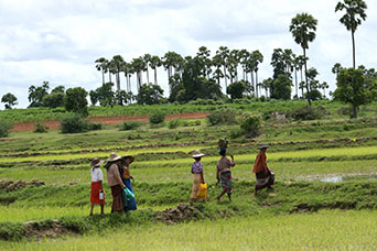 Myanmar (ex Birmania)