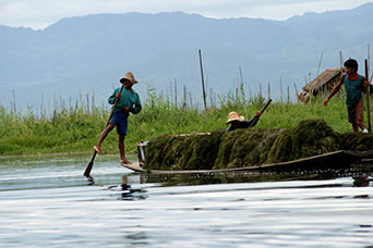 Myanmar (ex Birmania)
