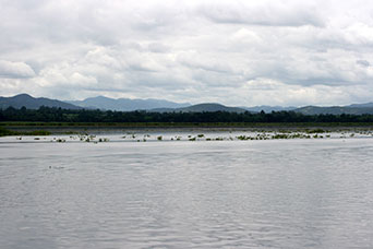 Myanmar (ex Birmania)