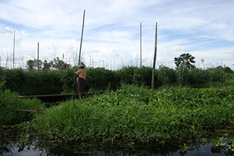 Myanmar (ex Birmania)