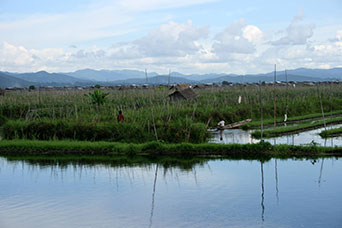 Myanmar (ex Birmania)
