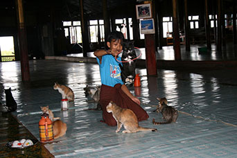 Myanmar (ex Birmania)