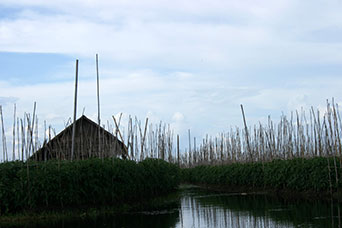 Myanmar (ex Birmania)