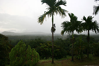 Myanmar (ex Birmania)