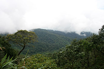Myanmar (ex Birmania)