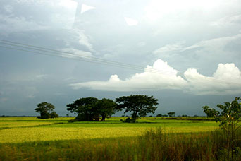 Myanmar (ex Birmania)