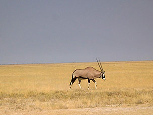 Namibia