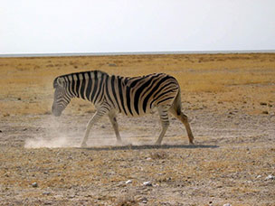 Namibia