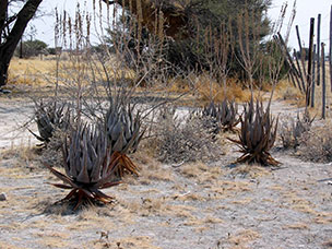 Namibia