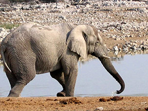 Namibia