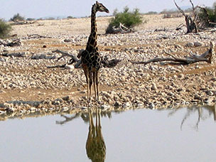 Namibia