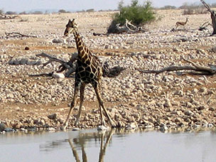 Namibia