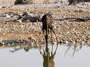 Namibia